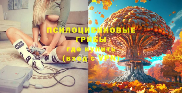 марки lsd Горно-Алтайск