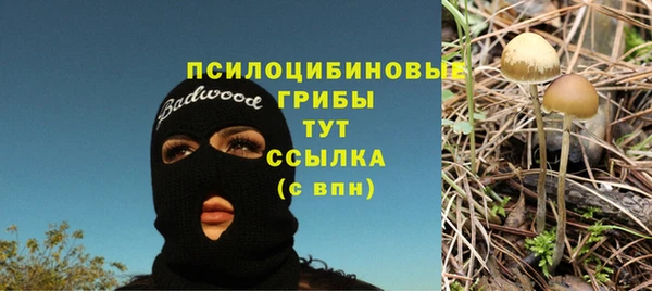 ALPHA PVP Горняк
