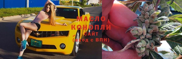 гашик Горнозаводск